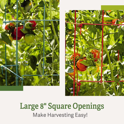 Extra Tall Heavy-Guage Square Tomato Cages | Easy Fold Plant Supports & Vegetable Garden Stakes | 14.25" x 14.25" x 65" - Green (Set of 2)