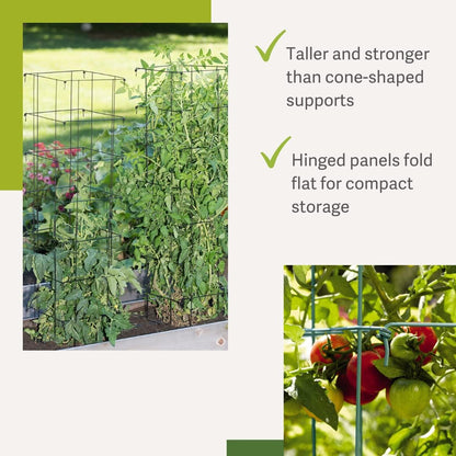 Extra Tall Heavy-Guage Square Tomato Cages | Easy Fold Plant Supports & Vegetable Garden Stakes | 14.25" x 14.25" x 65" - Green (Set of 2)