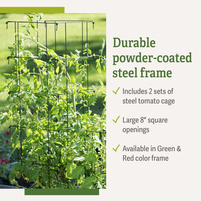 Extra Tall Heavy-Guage Square Tomato Cages | Easy Fold Plant Supports & Vegetable Garden Stakes | 14.25" x 14.25" x 65" - Green (Set of 2)